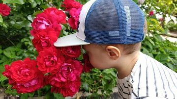 ������ ������ �� ������: �� ������ ����������� ����� ����