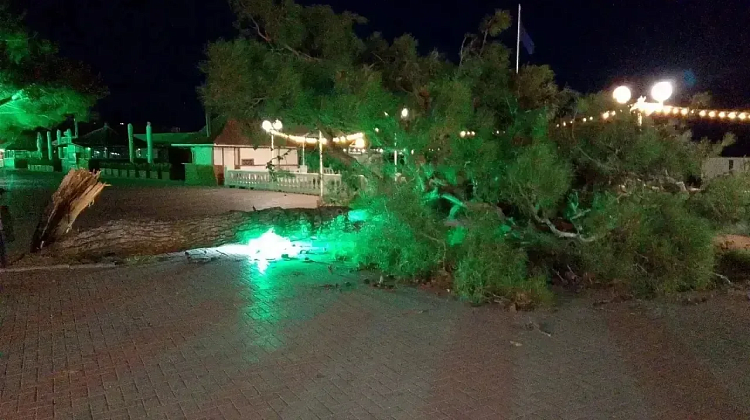  �����! � ���������� ��� �������� �������, � ������������� � ����� ���������� ����������