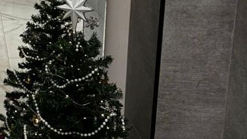   � ���������� ���������� ���������� ������������ ���������� ��� �������� ������ 13 �������� 