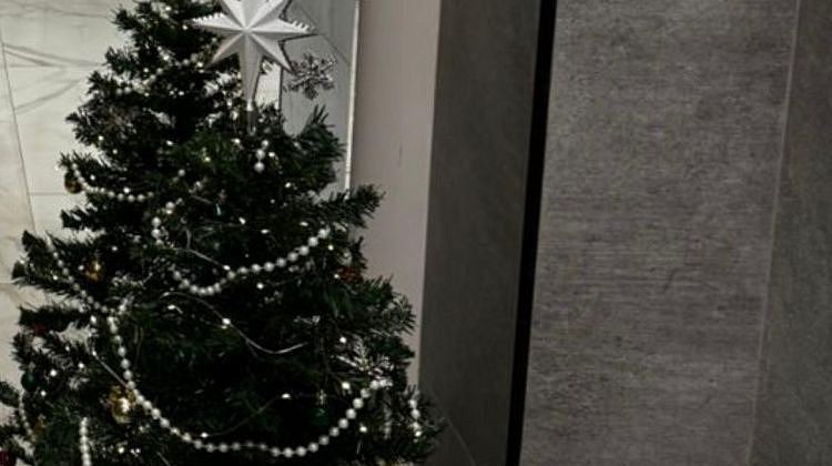   � ���������� ���������� ���������� ������������ ���������� ��� �������� ������ 13 �������� 