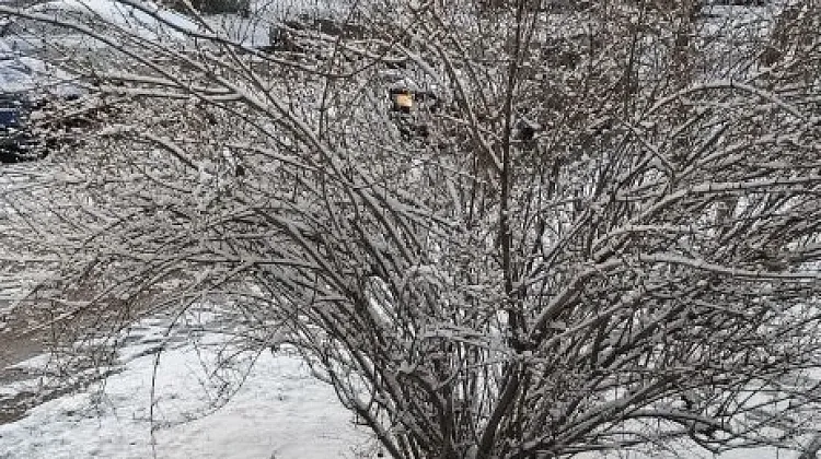 ������! ���������� �������������� �� ������! 