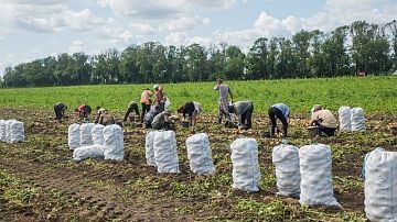 ��� ������� �����? � ������� � �������� � ������