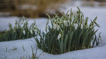 ����� ���������� ���� �� ������: ��� ������ ���������� ������� � ����� ���������� "����"