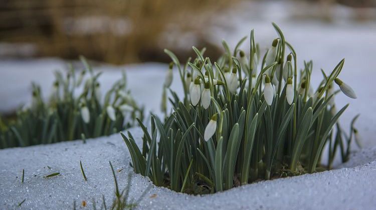 ����� ���������� ���� �� ������: ��� ������ ���������� ������� � ����� ���������� "����"