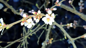 ���� �� ������ ���� �������! ����� ���������� �� ��� ������ �� ����� ������