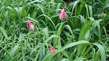 �������� ��������� �� ������: ��������� ������� ��������� ��������� 