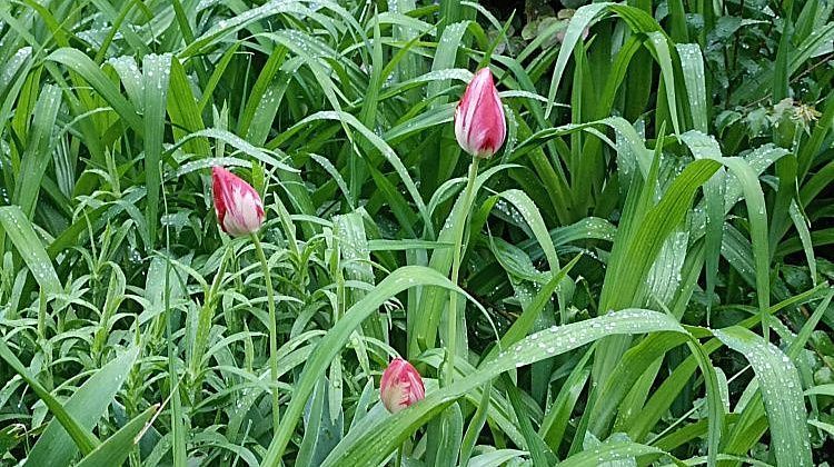 �������� ��������� �� ������: ��������� ������� ��������� ��������� 