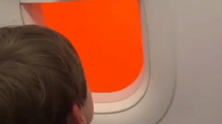 �������� ������� �������� ���� �� �����: ����� ����, �������� ������� ������������ ����