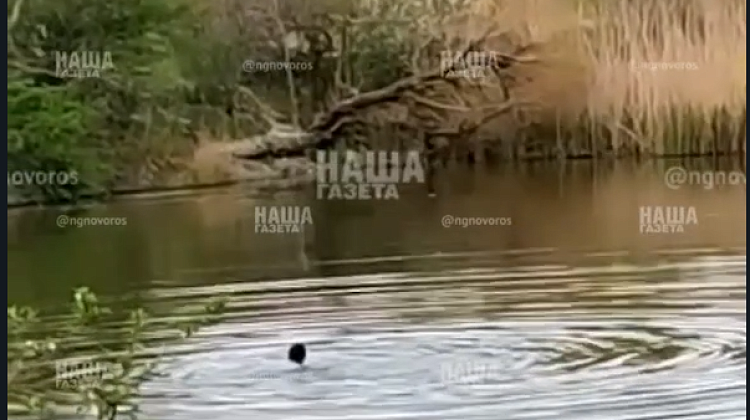     :       