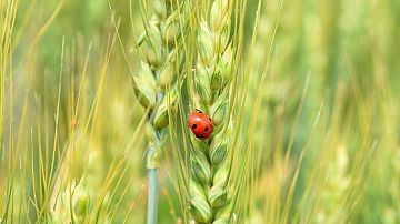  ���� �������� - � ����� ������ �� ������������� ��������� � ������� ������ ��������