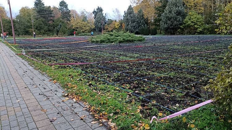 Краснодар готовится стать тюльпановой столицей с осени: в Ботаническом саду кипят работы (фотоэксклюзив)  Краснодар готовится стать тюльпановой столицей с осени: в Ботаническом саду кипят работы (фотоэксклюзив)