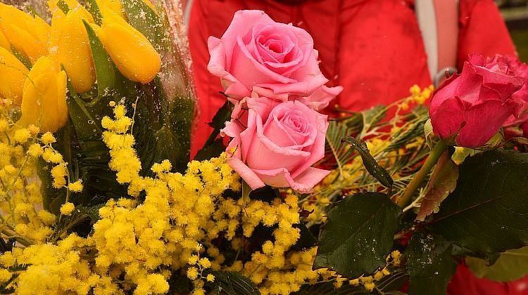 8 ����� � ����������: ��� ����� ������� ������� ������� ��������