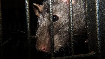 � ������ ������������ ������ �������������� ������� ��������� 