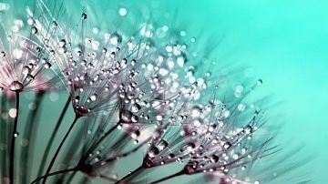 ��������� ������ ������� ������ ���� �����: ��� ����� ������? 