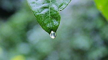 ��������� ���: ����� ��������� ������ �� ������?