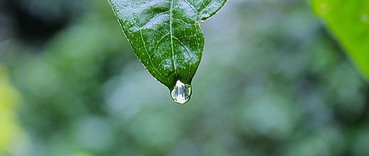 ��������� ���: ����� ��������� ������ �� ������?