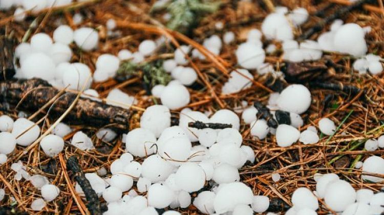 ������� ����� ������ ����! ������ ������ � ��������� - ������ ����: ������ ������� �� ��������