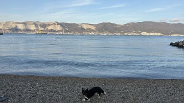 ��������� ����� �� �����: ��� ������� ������ �� ������