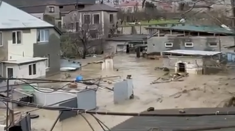 ��! � ��������� ������ ��� ����� ����������: ����������� �������� �����