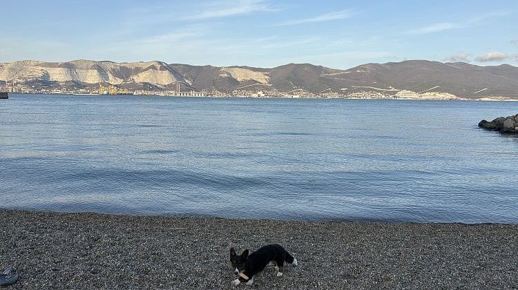 ��������� ����� �� �����: ��� ������� ������ �� ������