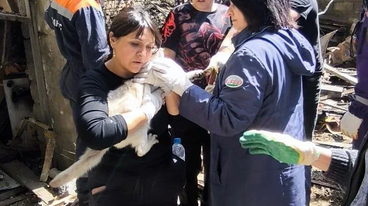 ����! ����� ����� ��� �������� ������ ����� ����� ����� ����� � ������