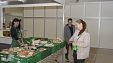 В Краснодаре открыта и работает «Кубанская ярмарка- Весенняя» В Краснодаре открыта и работает «Кубанская ярмарка- Весенняя»