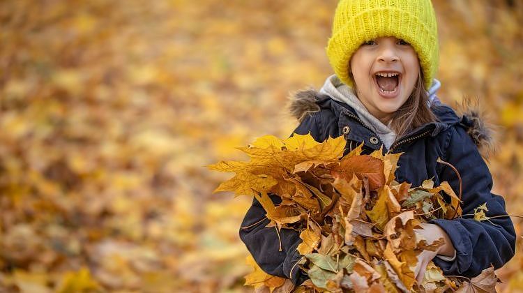 Осенние каникулы: как помочь ребенку отдохнуть и вернуться в школьный ритм Осенние каникулы: как помочь ребенку отдохнуть и вернуться в школьный ритм