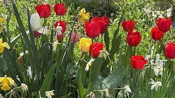 ������ � ����������! ����� � �������� ��������� ������