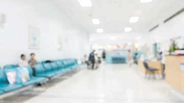 �������� ����������� � ���� ���������� ������ �����������: 12 ��� �������