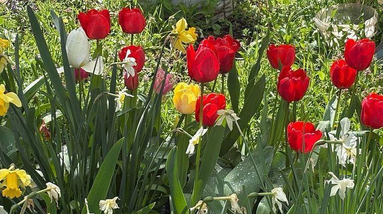 ������ � ����������! ����� � �������� ��������� ������