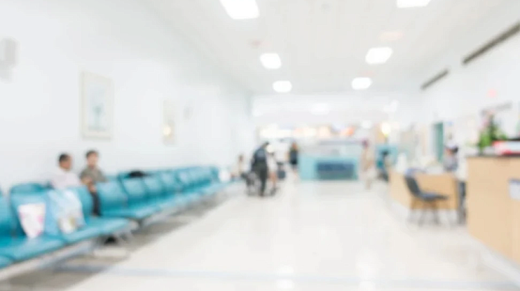 �������� ����������� � ���� ���������� ������ �����������: 12 ��� �������