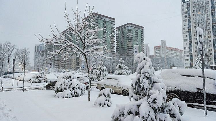 ��������� ����� ��������: ���� �������� � ������������� ��������