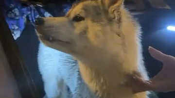 ���������� � ���� ����� �����: ��� ����������� ����������� �������