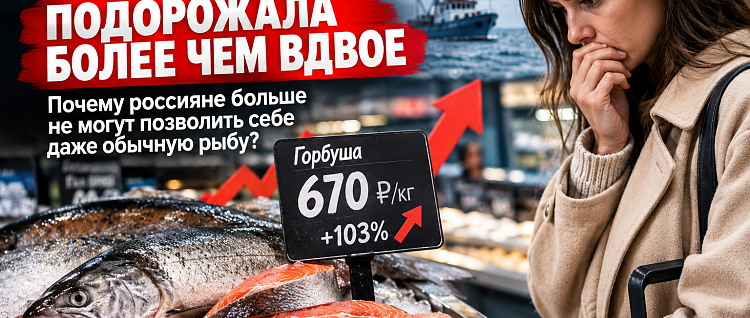 ������� ������������ � ���������: ������� ��������� ������ ������ �� ����