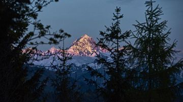 ������� ����������� � ������� ������: �������� ��������� �� ��������� ������