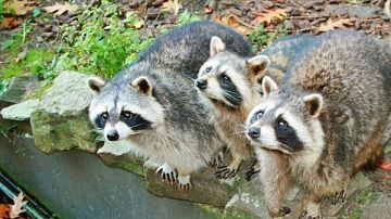 �������! � ������ ������� ������ ������ � � �������� �������� ������ �� ���� � ����������