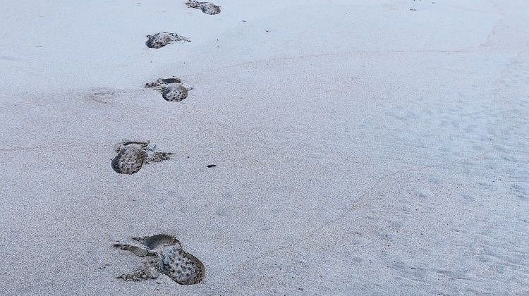 ����� ����� ���������� ����� ����� ������: ����� ����������� ����