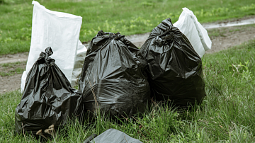 ������ ����� ������ �������� �������: ������� ������� ���������� � �������