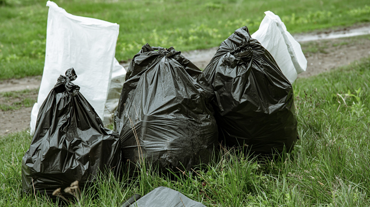 ������ ����� ������ �������� �������: ������� ������� ���������� � �������