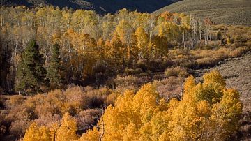 ������ ������ ���� ��� ������: ����������� �������� ������� ������ � ��������