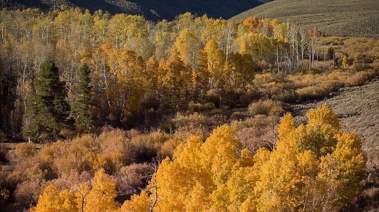 ������ ������ ���� ��� ������: ����������� �������� ������� ������ � ��������