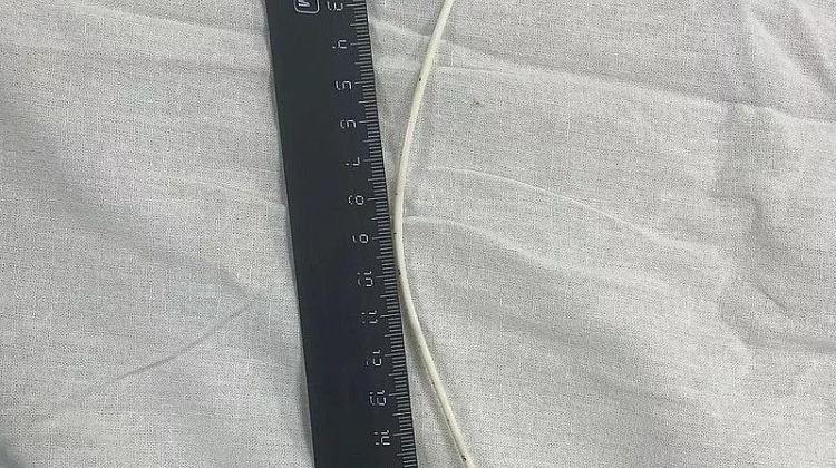     :    20- 
