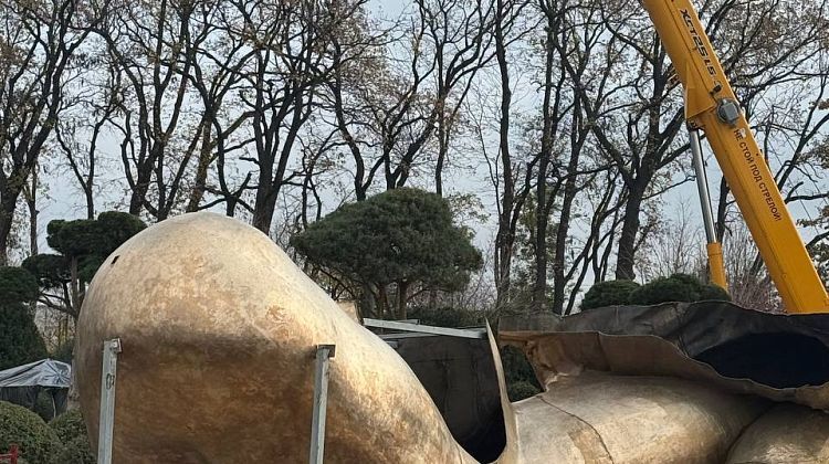 Гигантские руки в Краснодаре: что за новый арт-объект собирают в «Парке Облаков» Гигантские руки в Краснодаре: что за новый арт-объект собирают в «Парке Облаков»