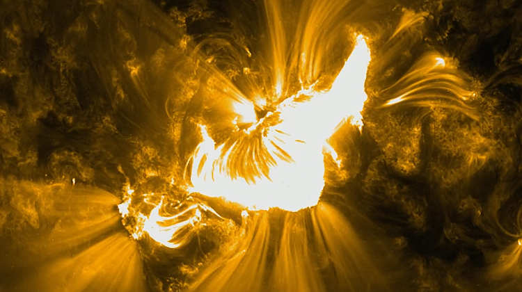 ���������� ������ ������� �� ������ X1.95: � ����� ���� ���� 