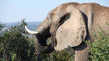  ����������� ���� ���� �� �������� ���������� �������� 