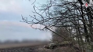 ������ �� 7 �������! ��������� ����� �� ������ �� �����, ����������� �����, ����� ���� ������ 