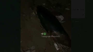      :      