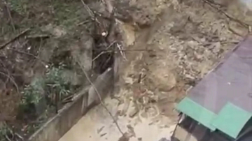 ���� ������: �������� � ���� ����������� �� ����������� - ����� ��� � ���������?