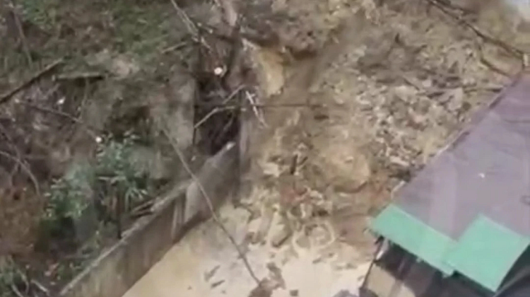 ���� ������: �������� � ���� ����������� �� ����������� - ����� ��� � ���������?