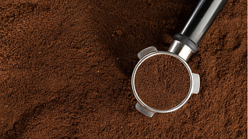 �� ������ ������������ �������� ����: ������ ���������